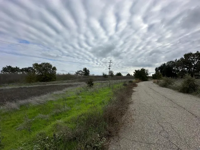 a view of green field with trees in background