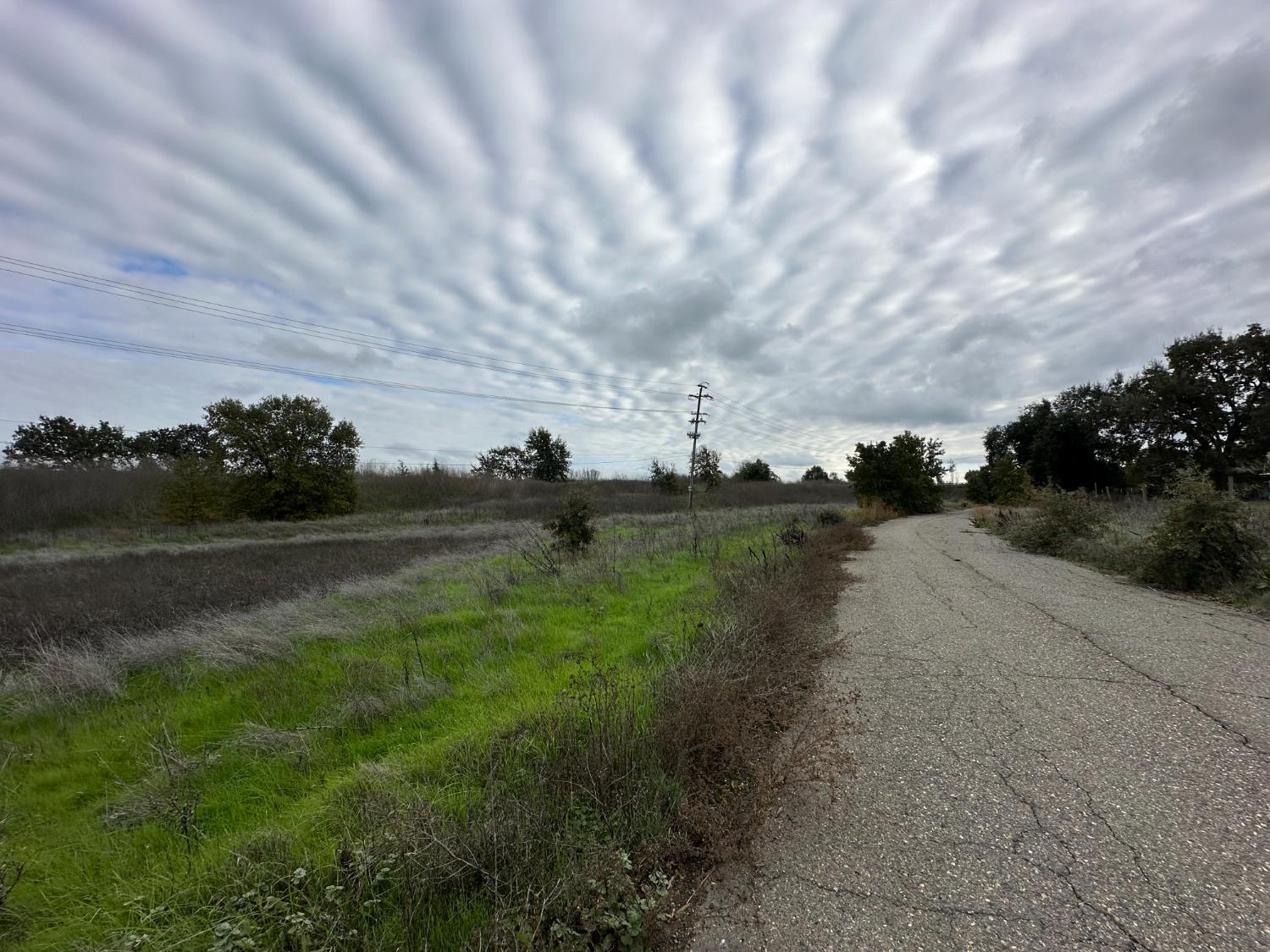 a view of green field with trees in background