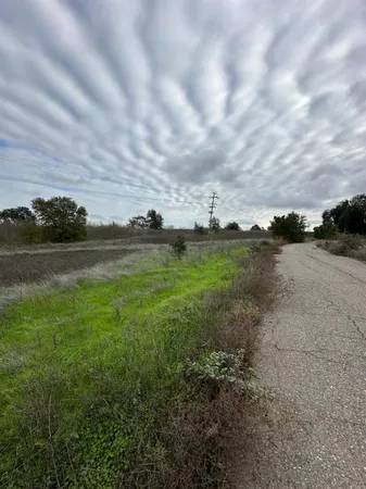 a view of a yard with an outdoor space