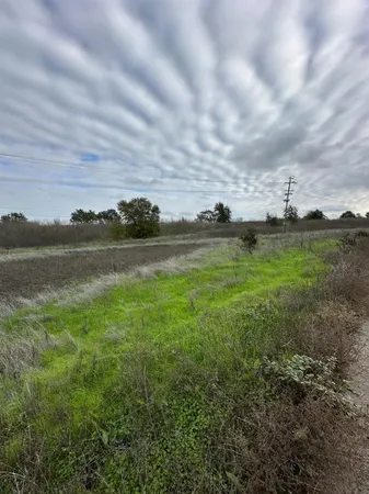 a view of a field with an ocean