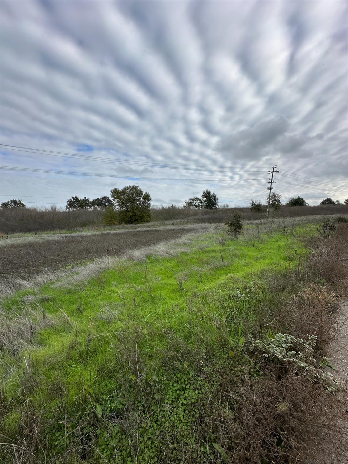 0 9th Street Hood, CA 95639 - Photo 4 of 8 a view of a field with an ocean