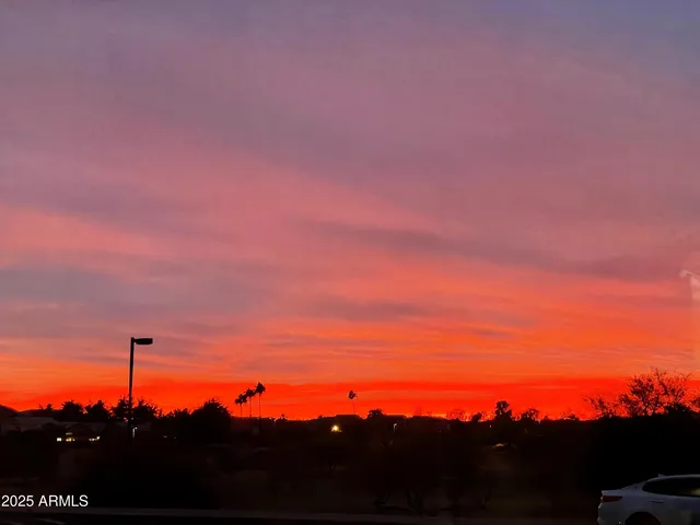 a view of a city with a tree in front of it