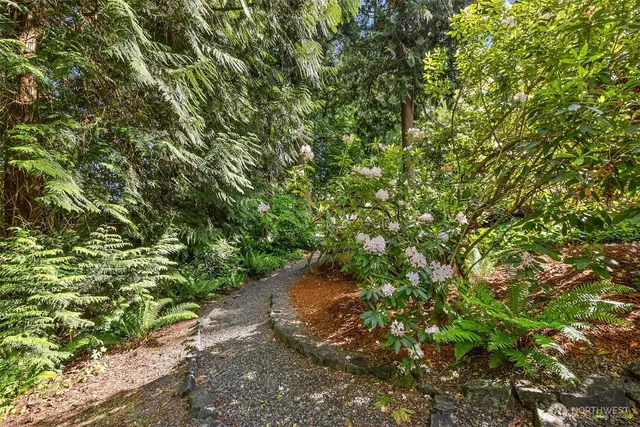 a backyard of a house with a tree
