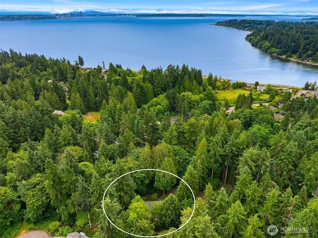 a backyard of a house with lots of green space and plants