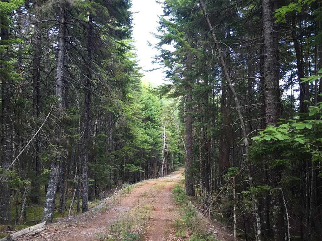 0 Ocean View Road, Unit LOT 1017 Jonesboro, ME 04648 - Photo 20 of 21 Photo