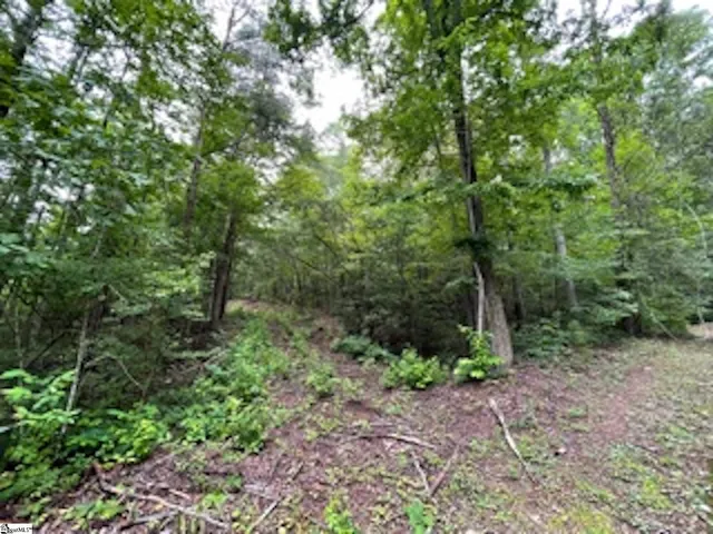 $25,000 | 17 Queensmoor Road, Travelers Rest, SC 29690