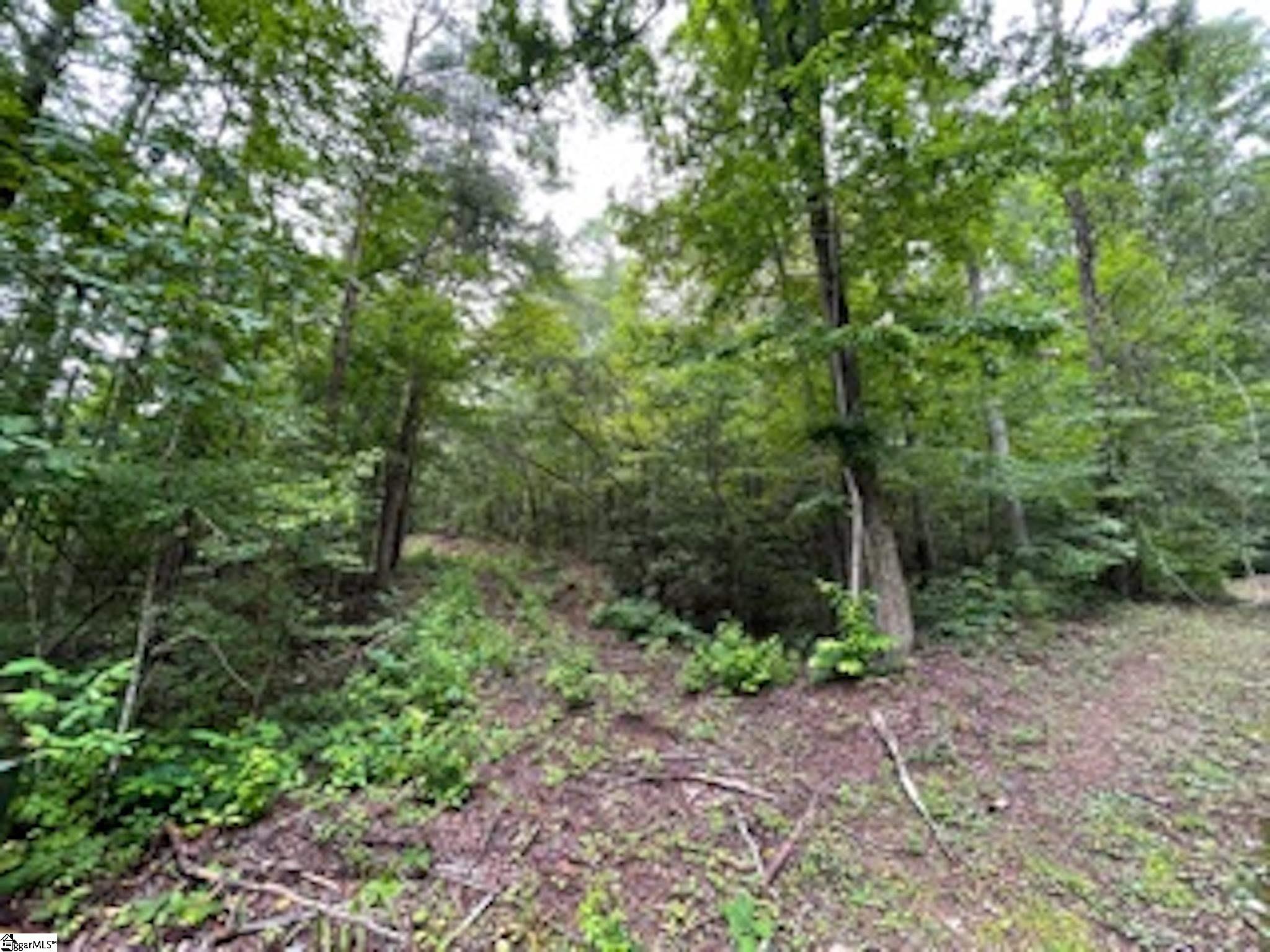 17 Queensmoor Road Travelers Rest, SC 29690 - Photo 2 of 6