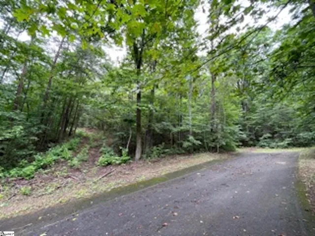 $25,000 | 17 Queensmoor Road, Travelers Rest, SC 29690