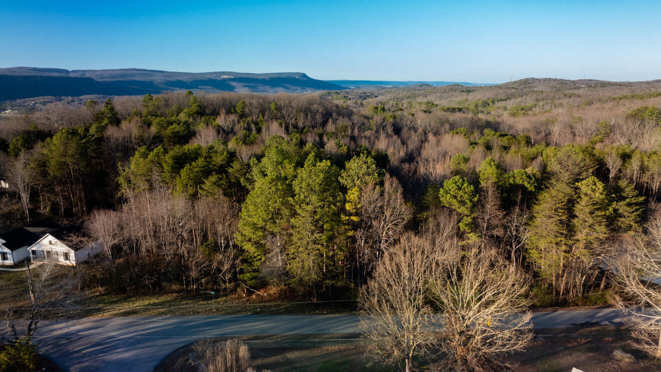 296 Bell Road Flintstone, GA 30725 - Photo 14 of 21 land15
