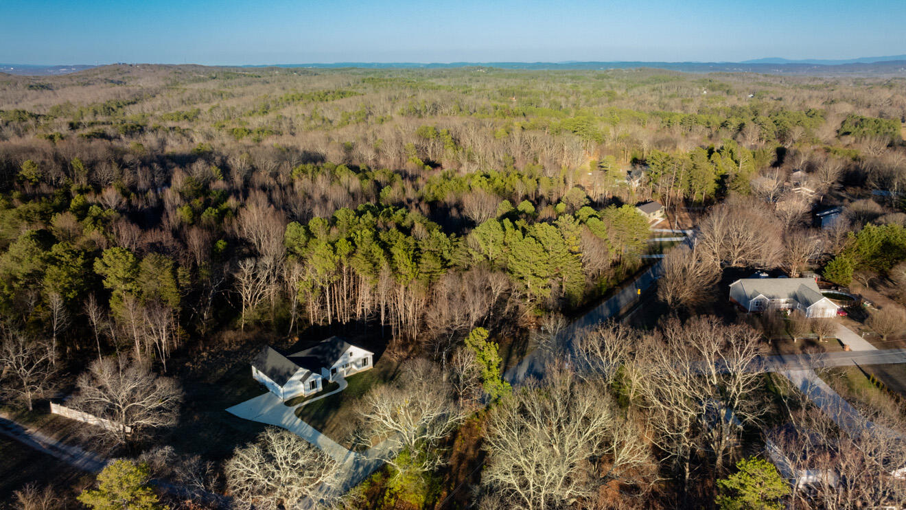 296 Bell Road Flintstone, GA 30725 - Photo 16 of 21 land8