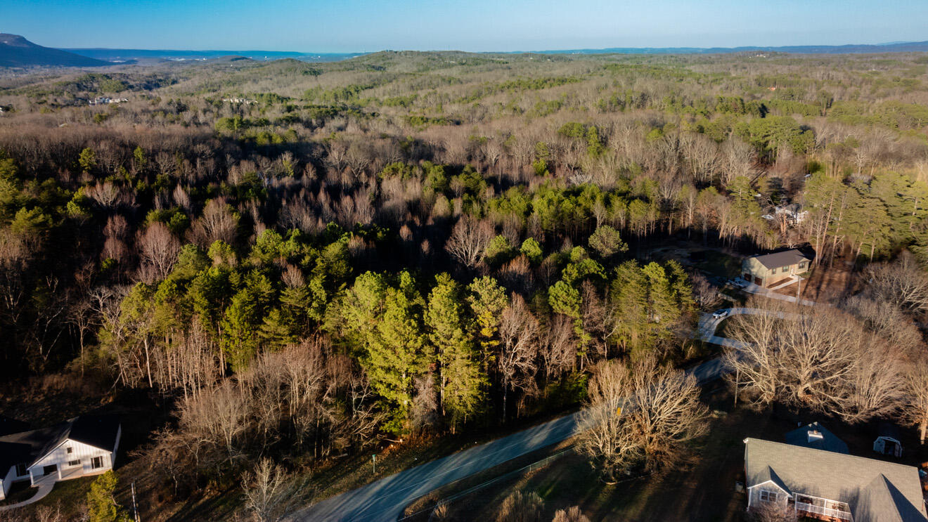 296 Bell Road Flintstone, GA 30725 - Photo 21 of 21 land7