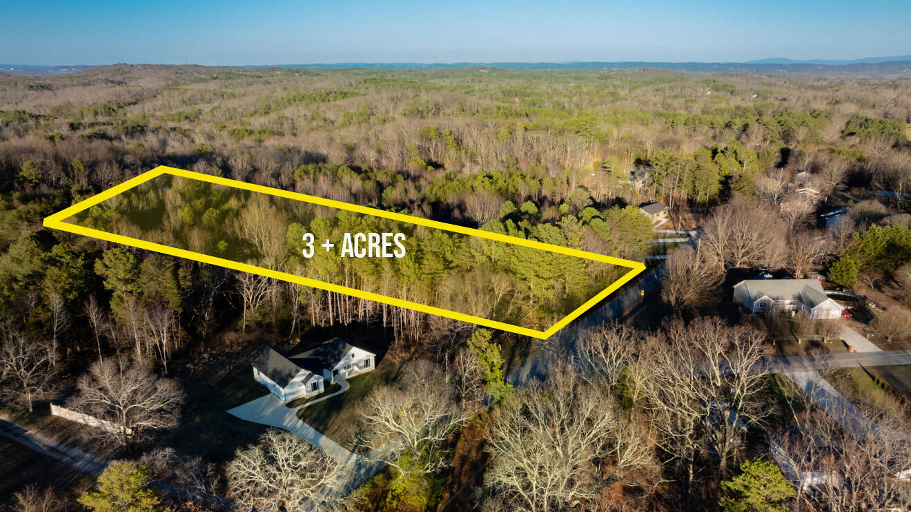 296 Bell Road Flintstone, GA 30725 - Photo 3 of 21 land1
