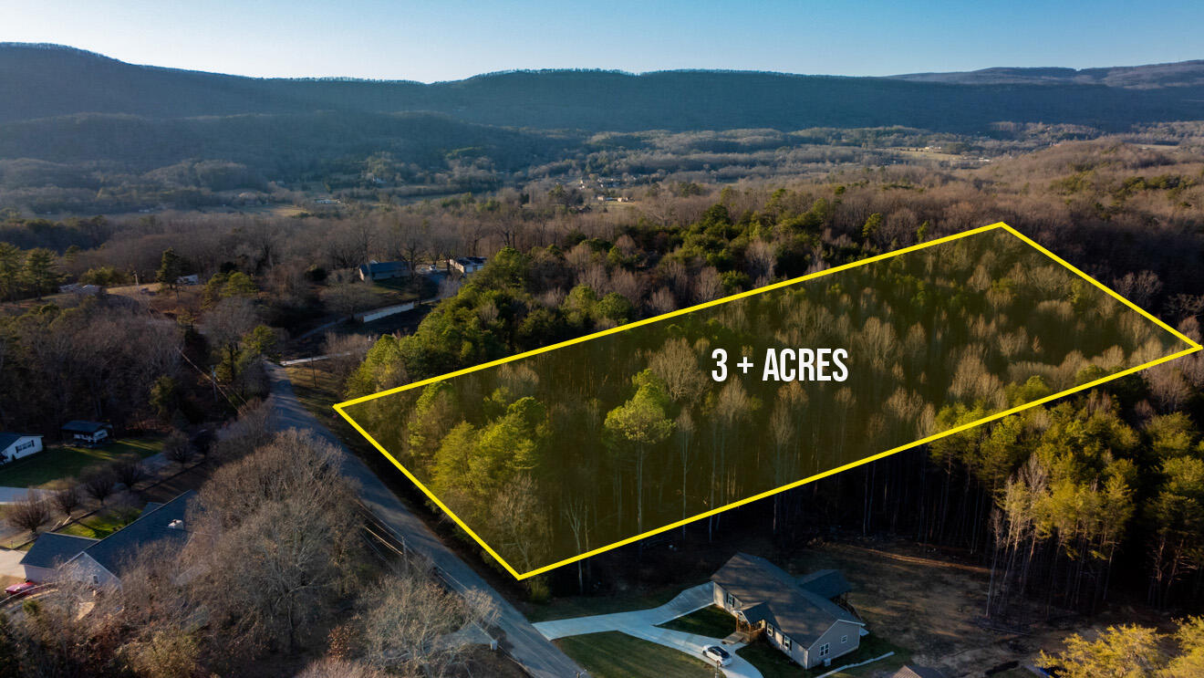 296 Bell Road Flintstone, GA 30725 - Photo 5 of 21 land3