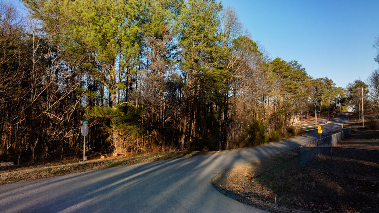 296 Bell Road Flintstone, GA 30725 - Photo 8 of 21 land20