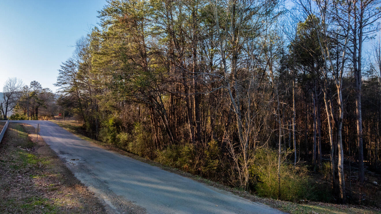296 Bell Road Flintstone, GA 30725 - Photo 9 of 21 land19