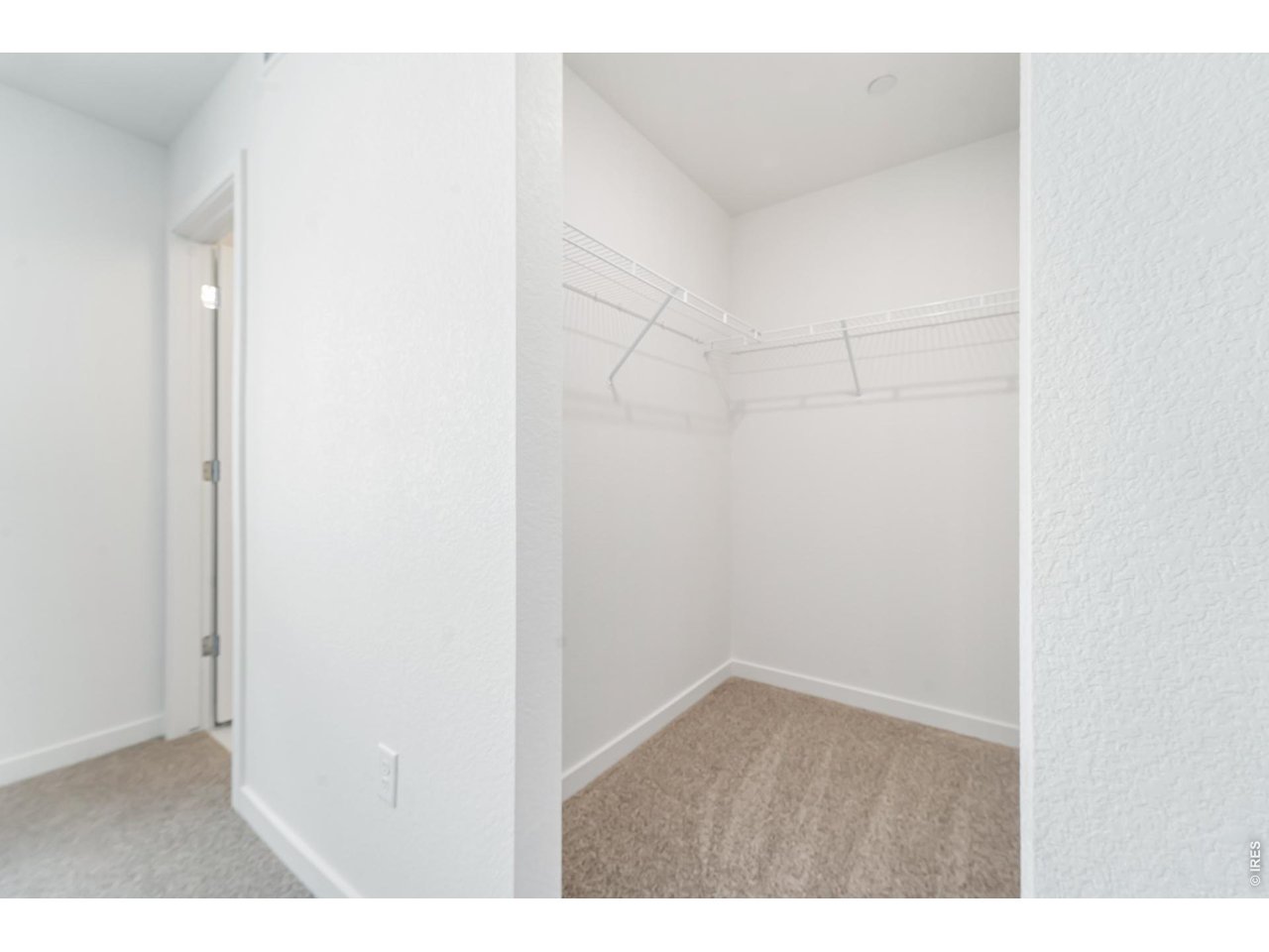 3913 Net Street Evans, CO 80620 - Photo 9 of 19