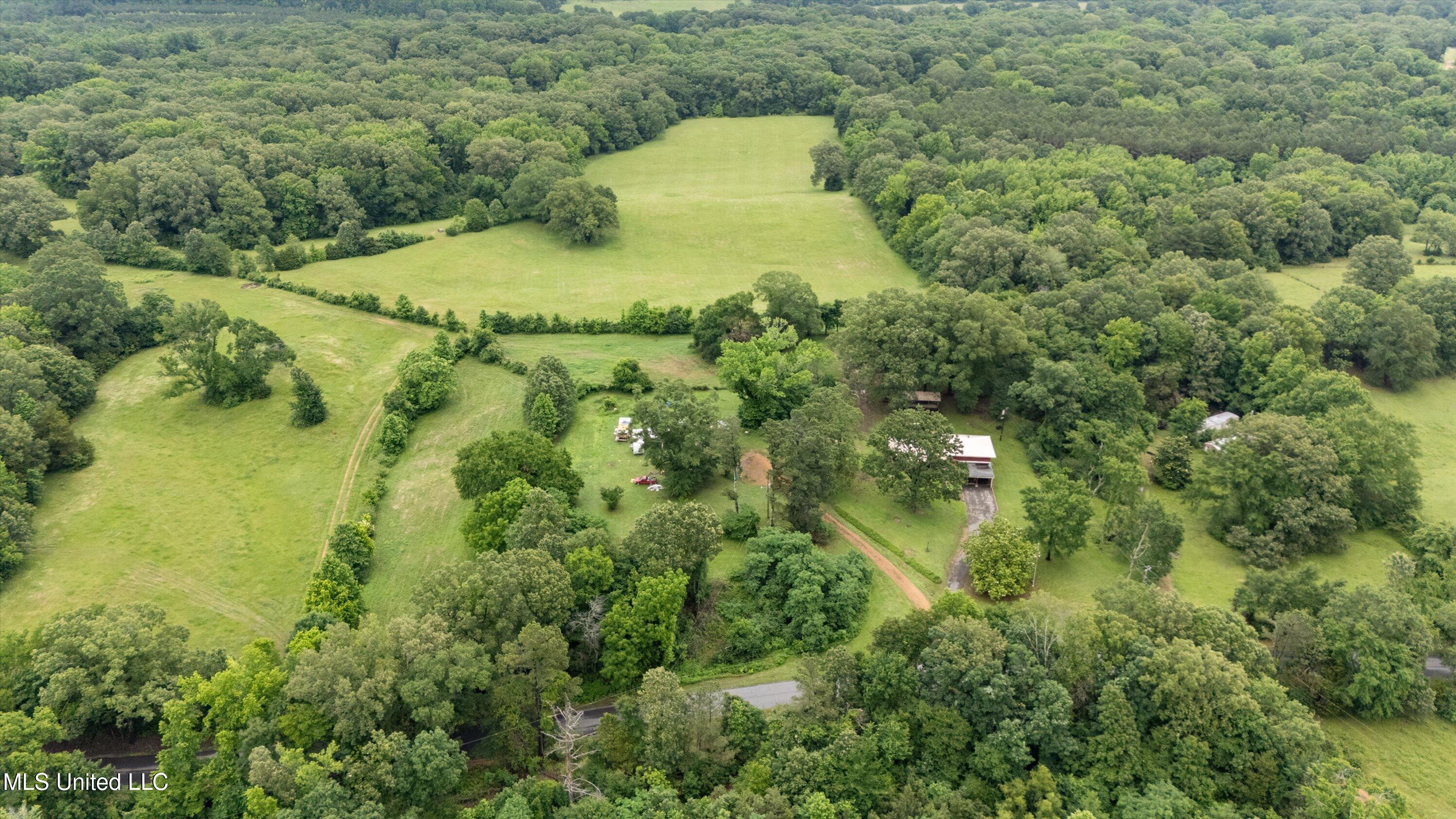 955 Carlton Road Coldwater, MS 38618 - Photo 44 of 50 44-DJI_20250527142141_0124_D copy