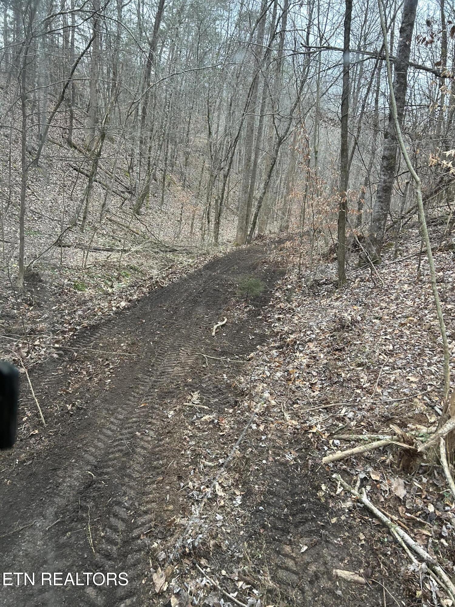 Maples Branch Road Sevierville, TN 37876 - Photo 2 of 9 IMG_2580