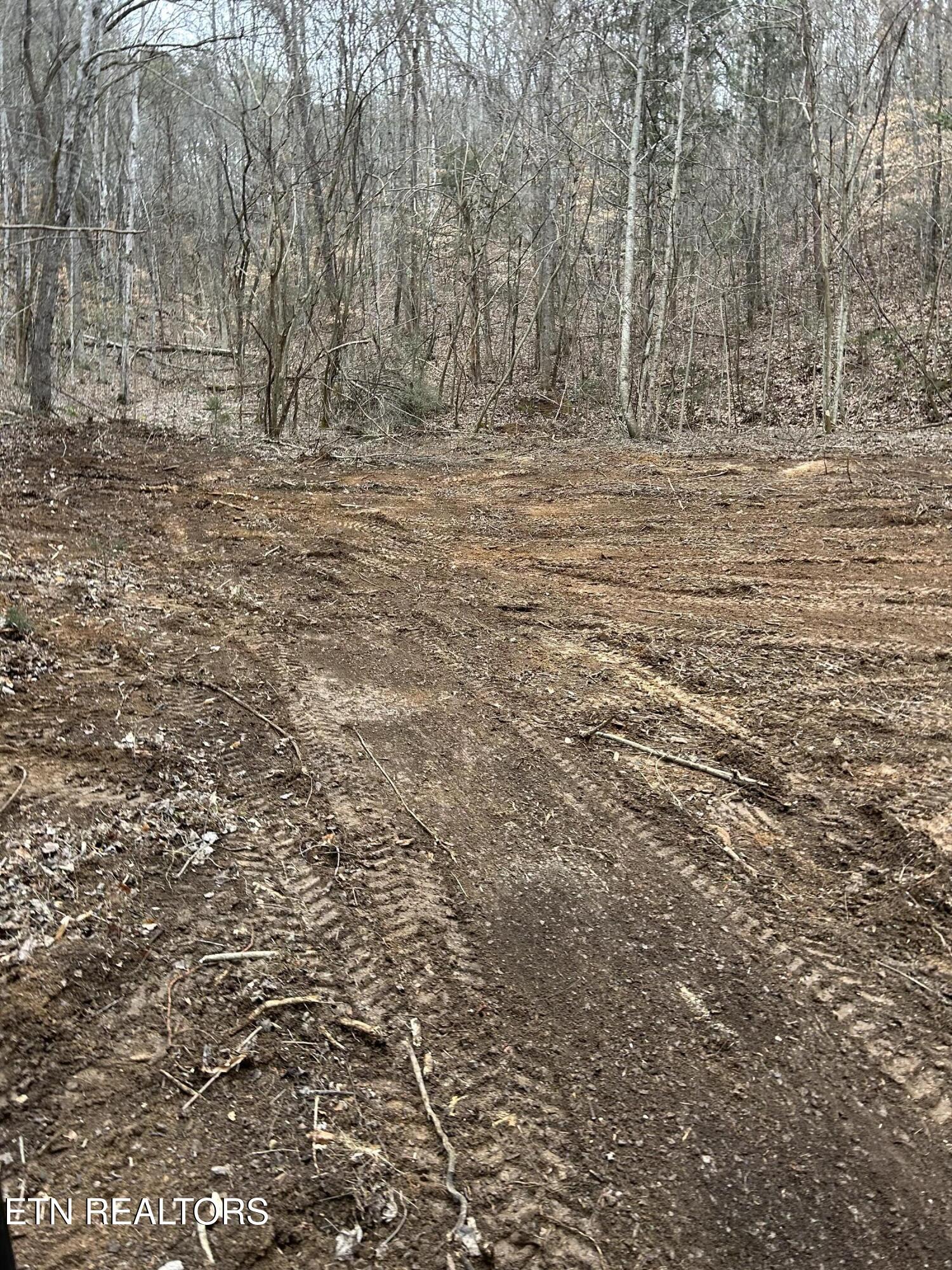 Maples Branch Road Sevierville, TN 37876 - Photo 3 of 9 IMG_6319