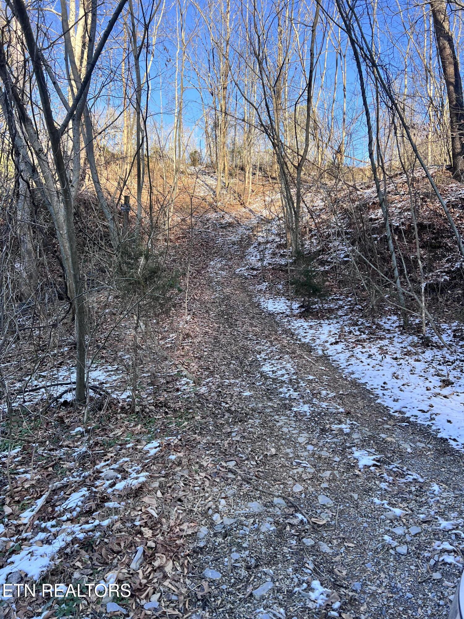 Maples Branch Road Sevierville, TN 37876 - Photo 4 of 9 IMG_6936