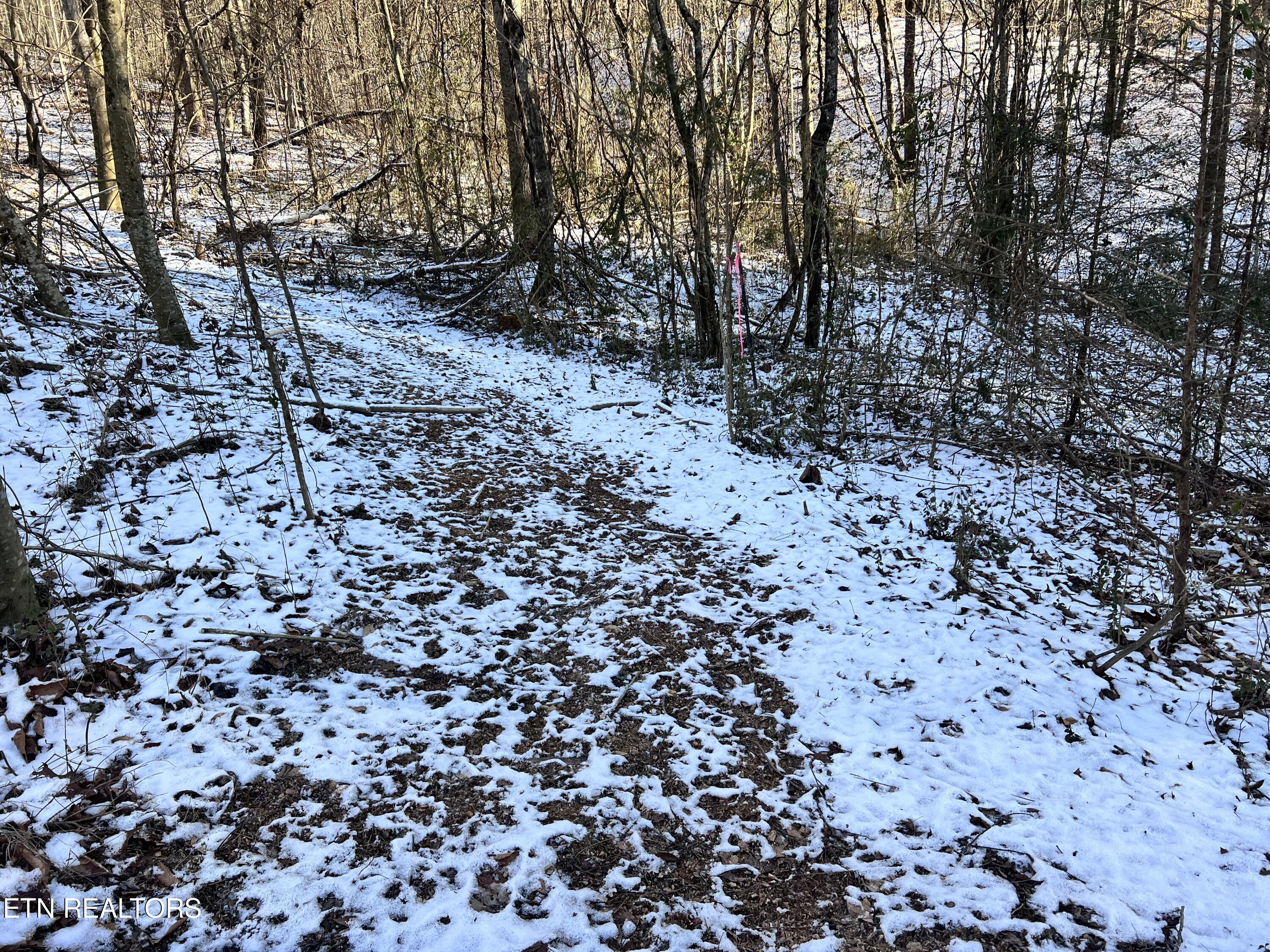 Maples Branch Road Sevierville, TN 37876 - Photo 5 of 9 IMG_6938