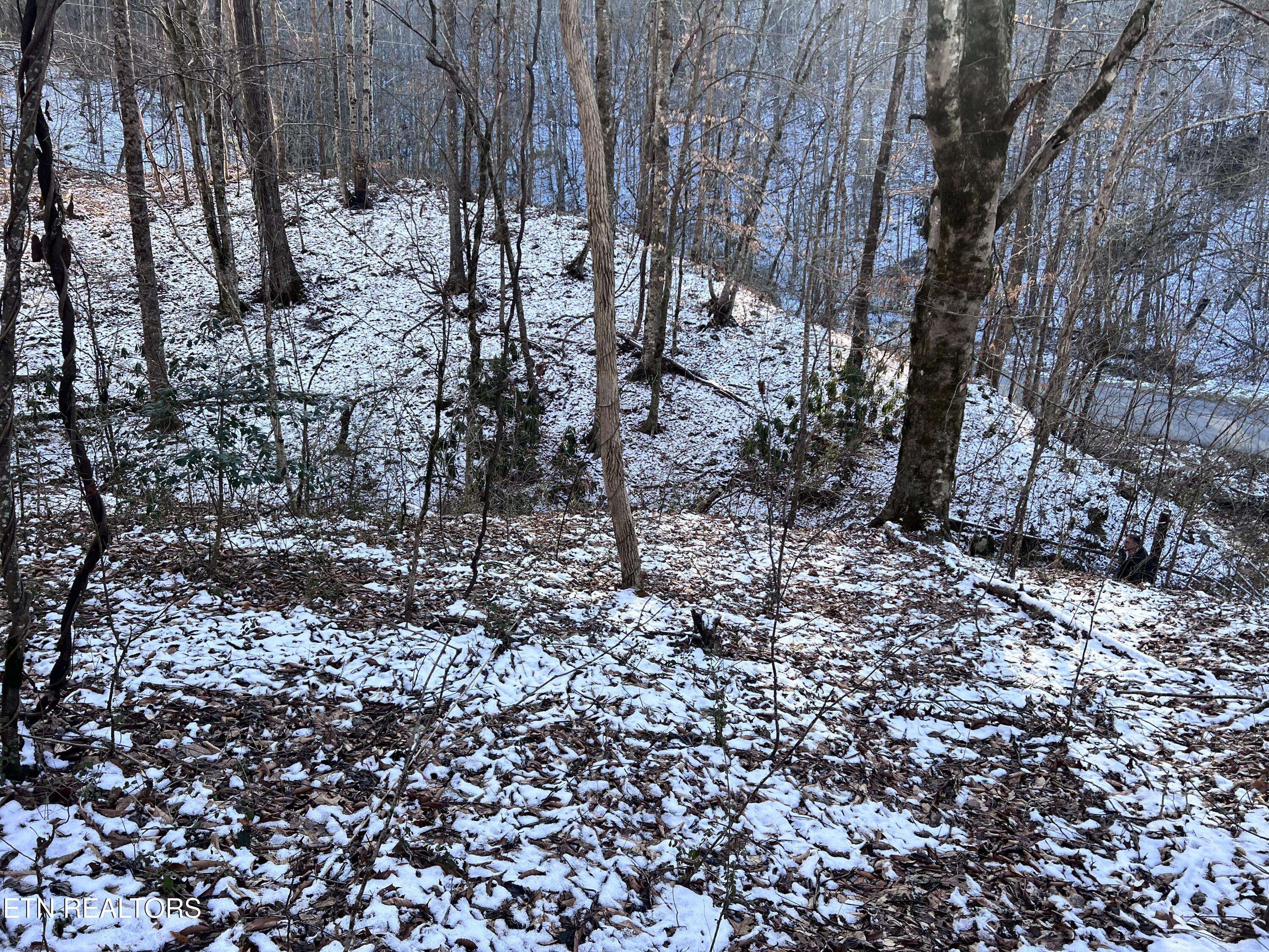 Maples Branch Road Sevierville, TN 37876 - Photo 6 of 9 IMG_6939