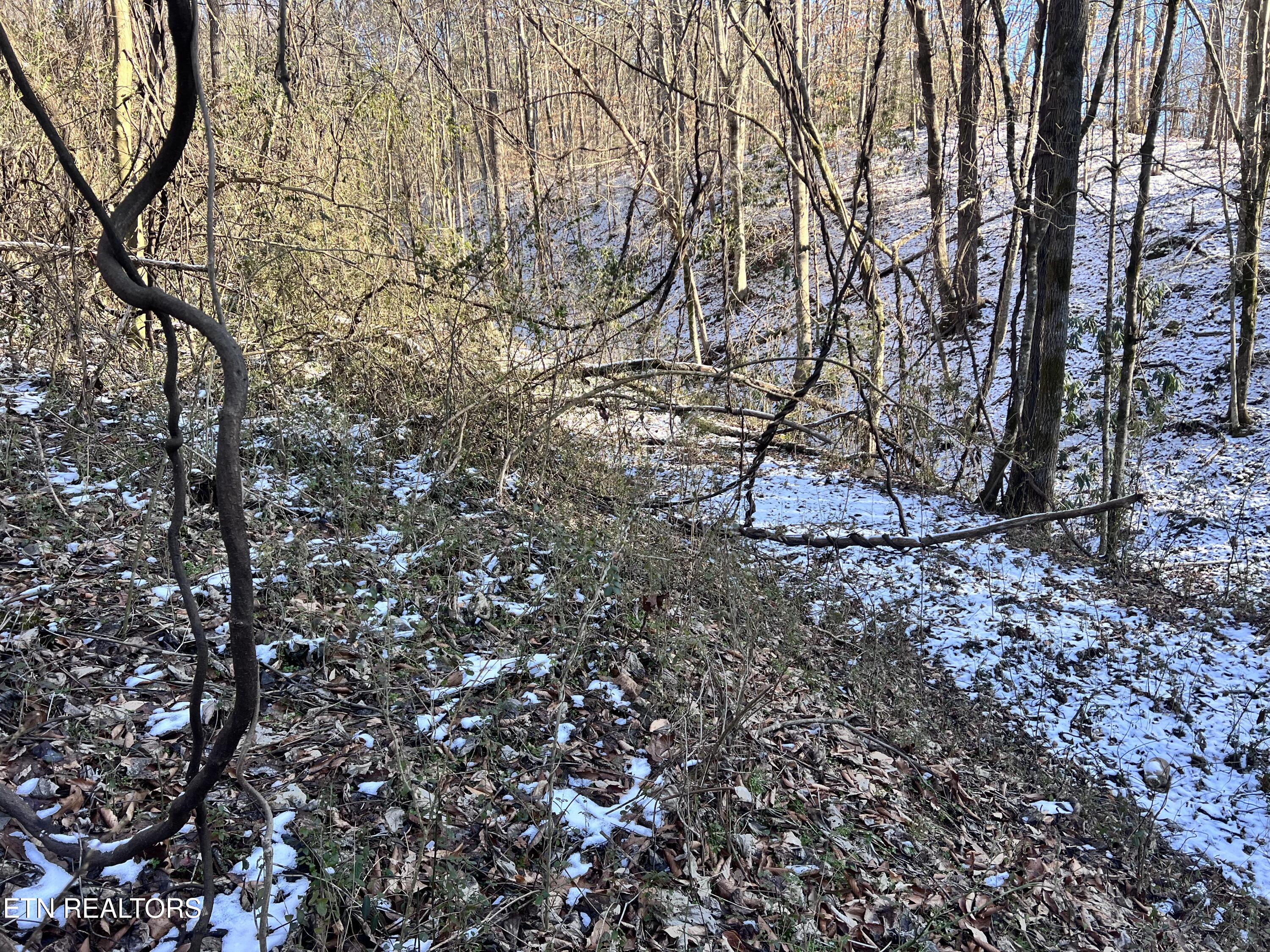 Maples Branch Road Sevierville, TN 37876 - Photo 7 of 9 IMG_6940