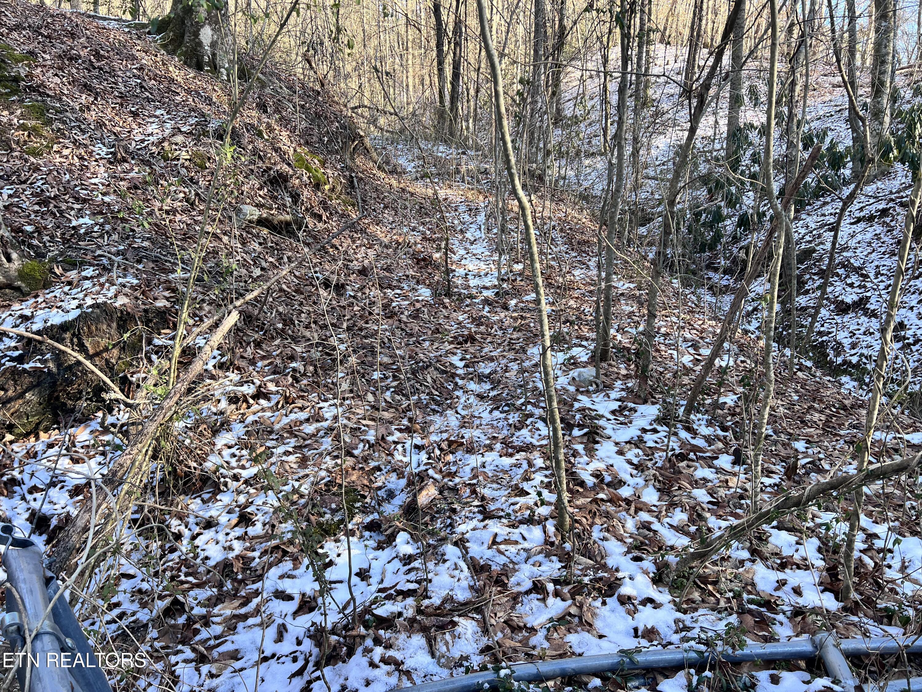 Maples Branch Road Sevierville, TN 37876 - Photo 9 of 9 IMG_6945