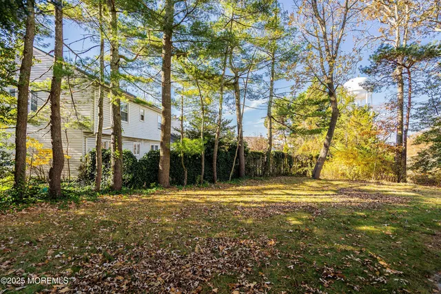 a view of outdoor space with garden