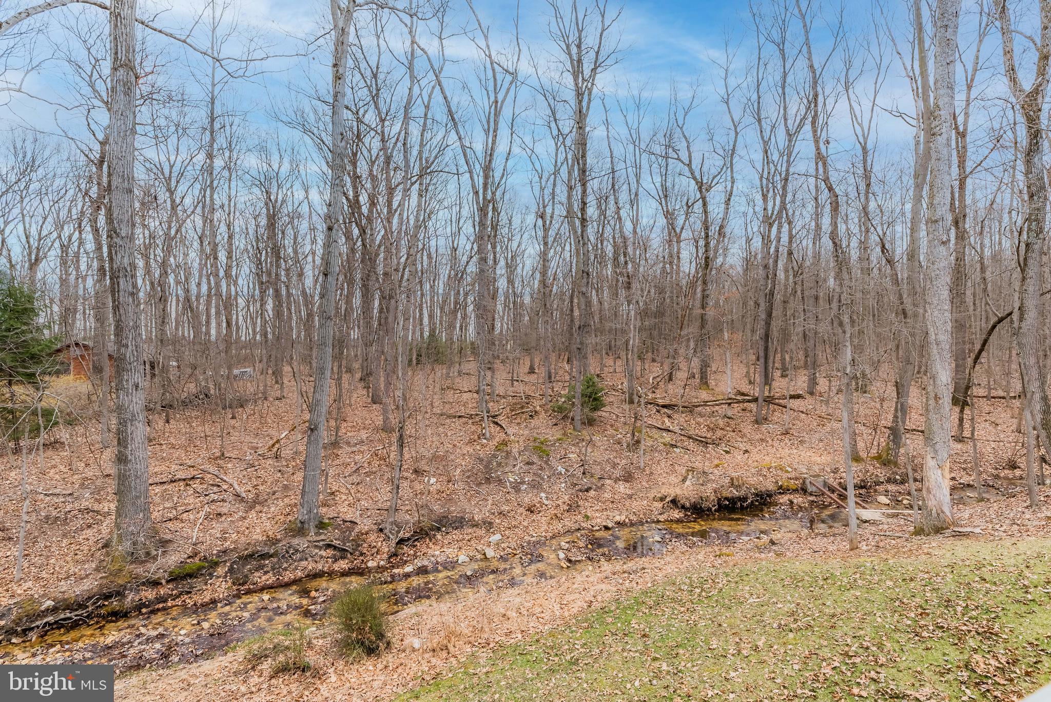 1370 Indian Peg Road Boiling Springs, PA 17007 - Photo 43 of 44 Enjoy the views of nature....