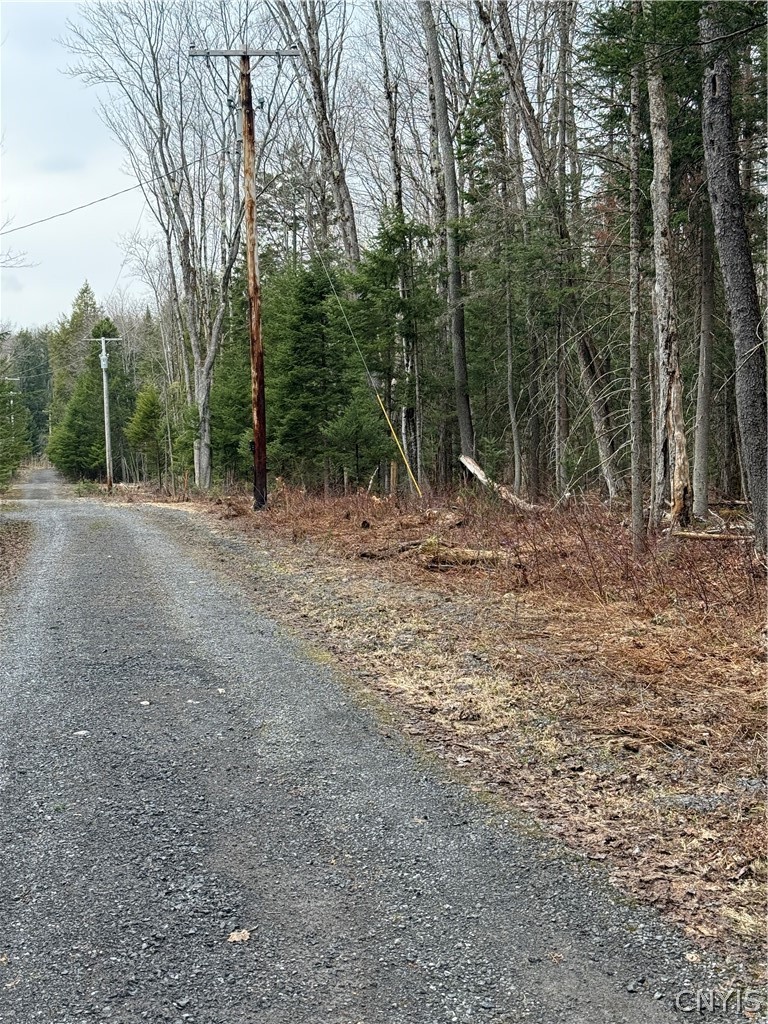 96 West Road Forestport, NY 13338 - Photo 11 of 11