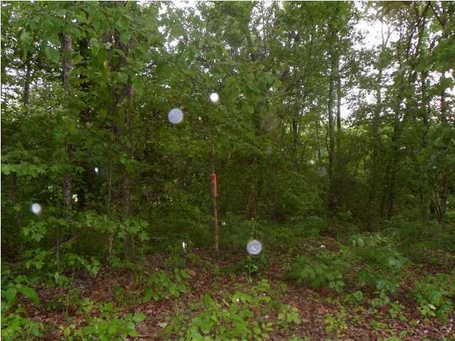 1 Taylors Ridge Rd Tunnel Hill Ringgold, GA 30736 - Photo 1 of 6 Primary Photo