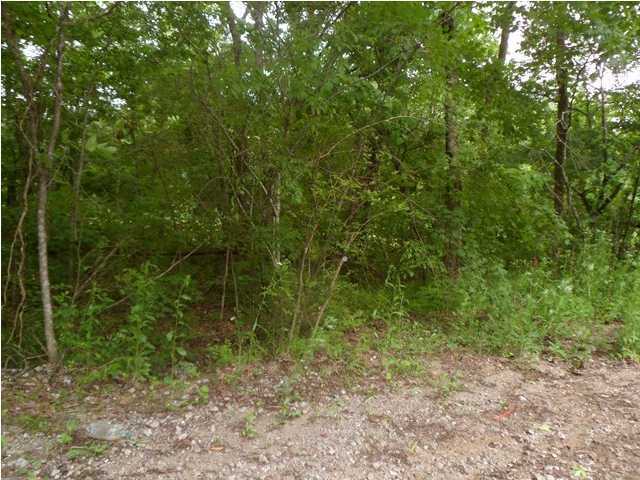 1 Taylors Ridge Rd Tunnel Hill Ringgold, GA 30736 - Photo 2 of 6 Additional Photo