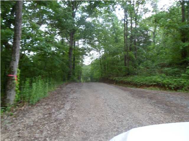 1 Taylors Ridge Rd Tunnel Hill Ringgold, GA 30736 - Photo 3 of 6 Additional Photo