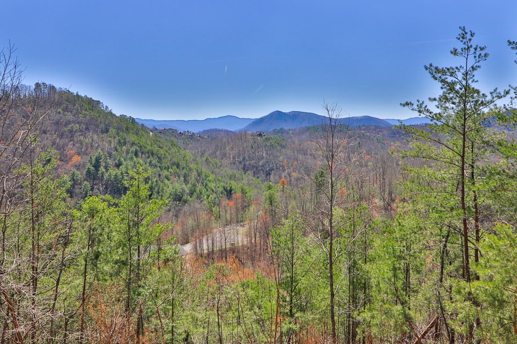 2969 Redtail Road Sevierville, TN 37862 - Photo 36 of 49 Gallery Image 36