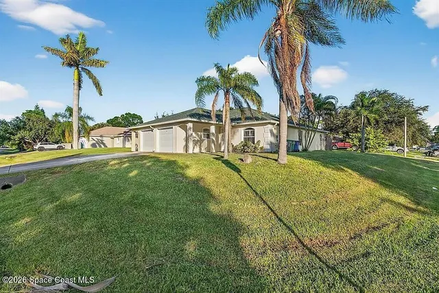 a view of a palm trees front of house