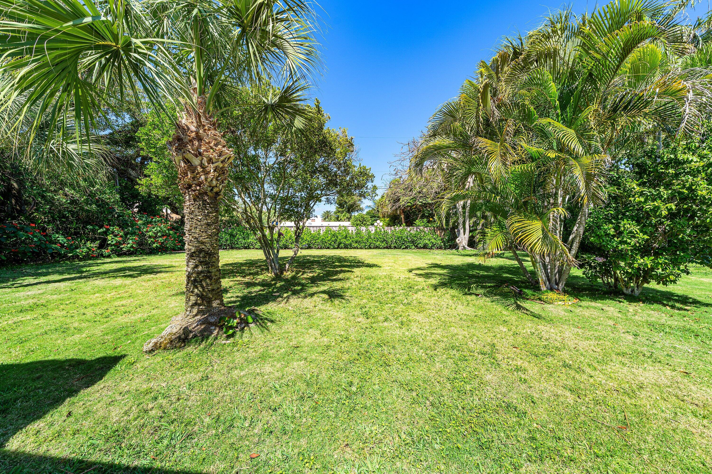 5550 Osprey Drive Ocean Ridge, FL 33435 - Photo 36 of 44 a view of a park with a tree