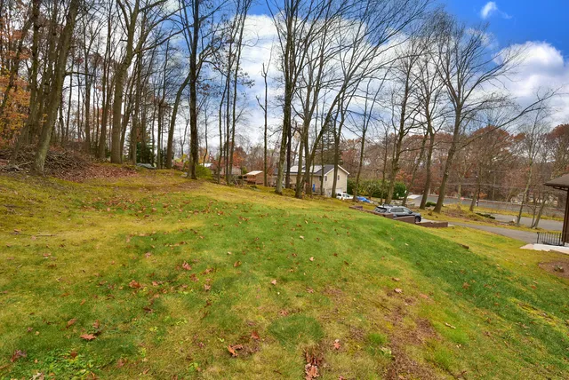 a view of yard with trees