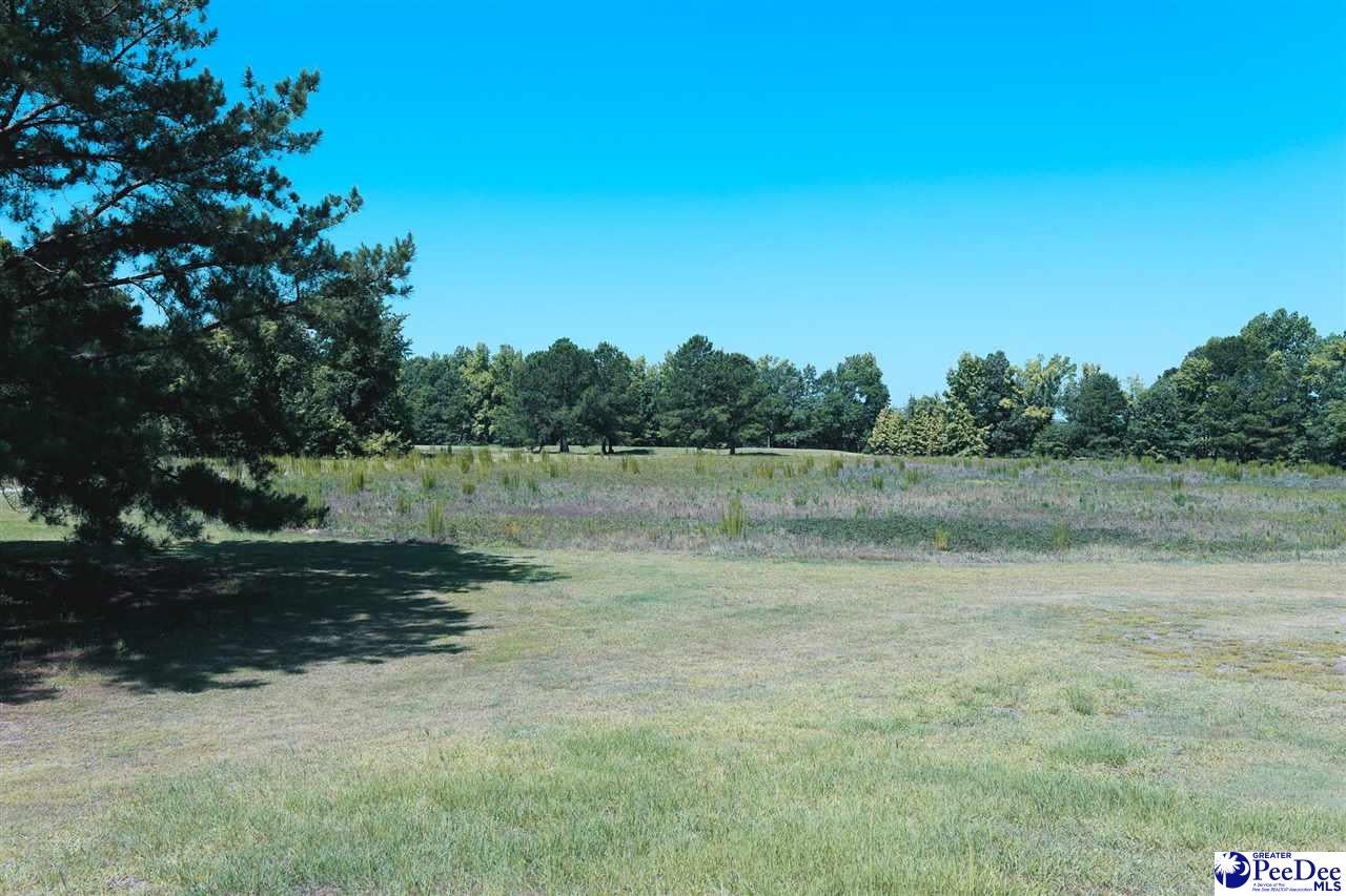 72-acres Claussen Road Florence, SC 29505 - Photo 3 of 8 Gallery Image 3