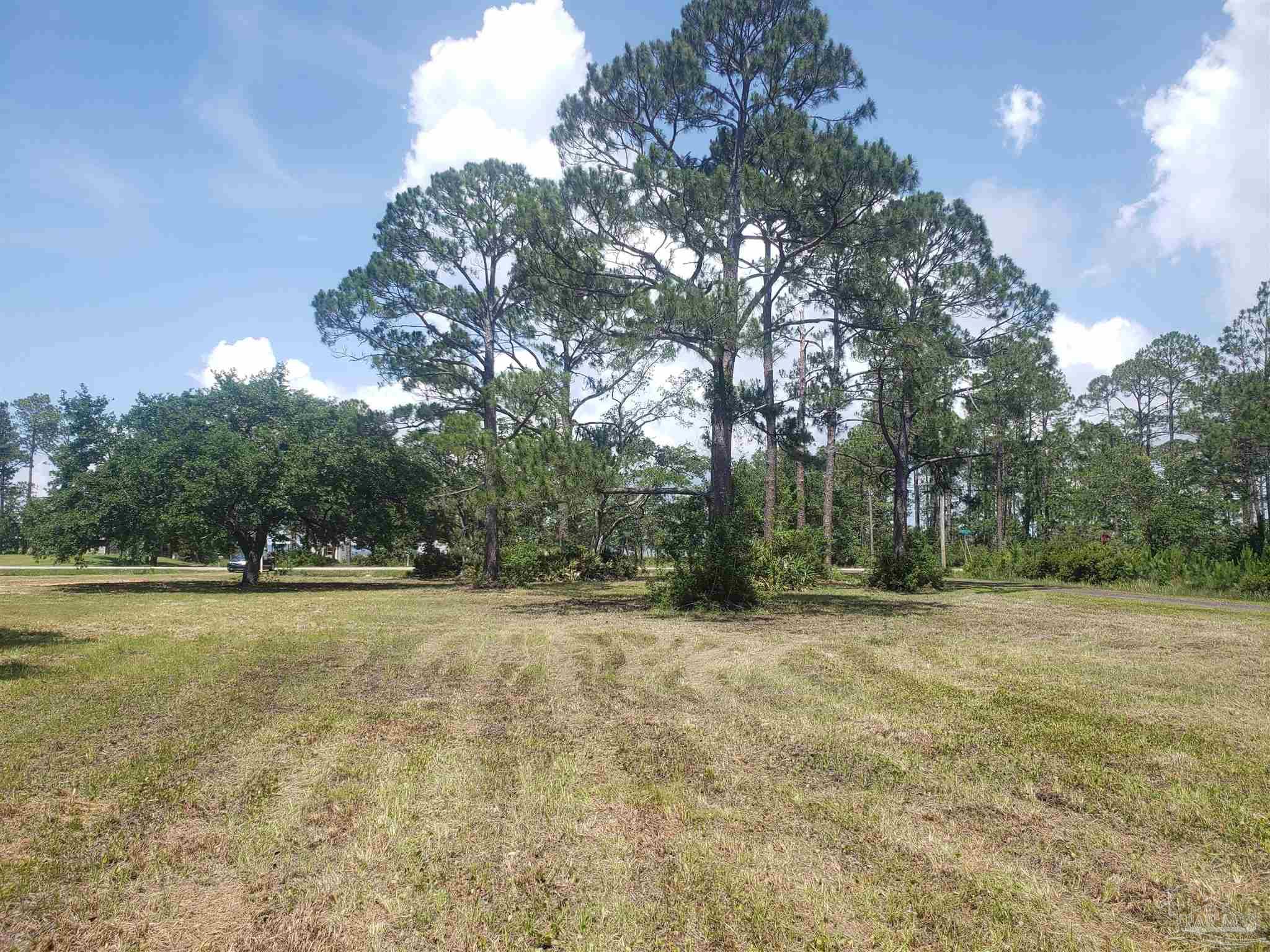 1164 Pearson Road, Unit 1 & 3 Milton, FL 32583 - Photo 9 of 15 Gallery Image 9