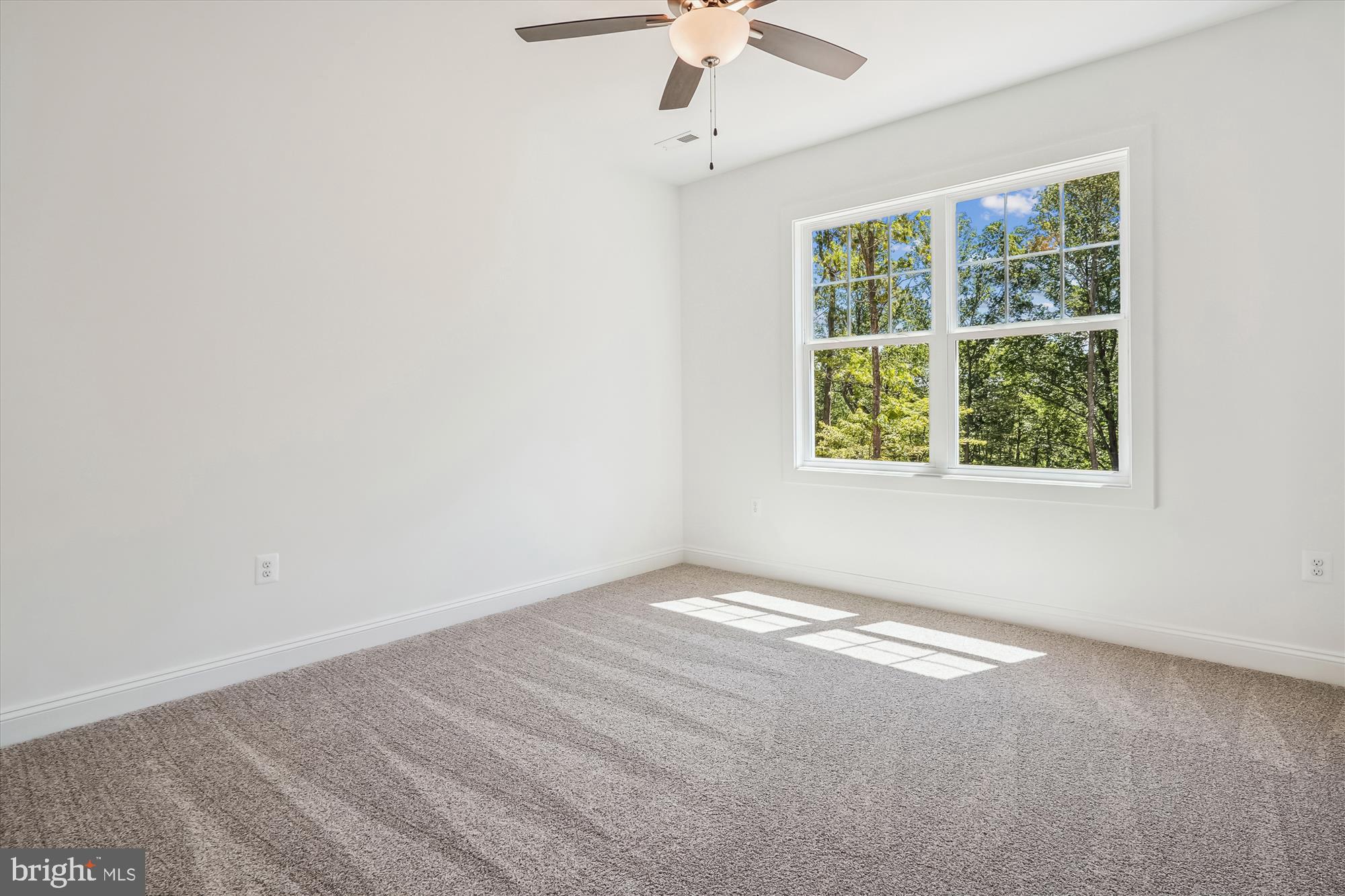 9336 Moses Place Culpeper, VA 22701 - Photo 42 of 50 an empty room with windows