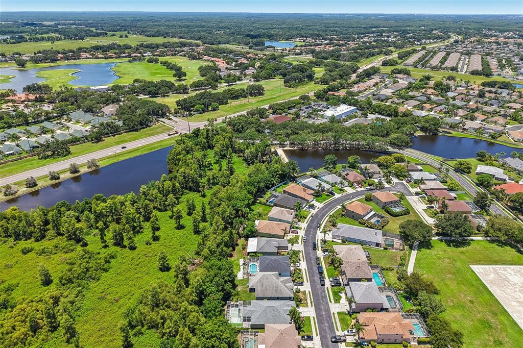 1628 Crossvine Court Trinity, FL 34655 - Photo 56 of 58