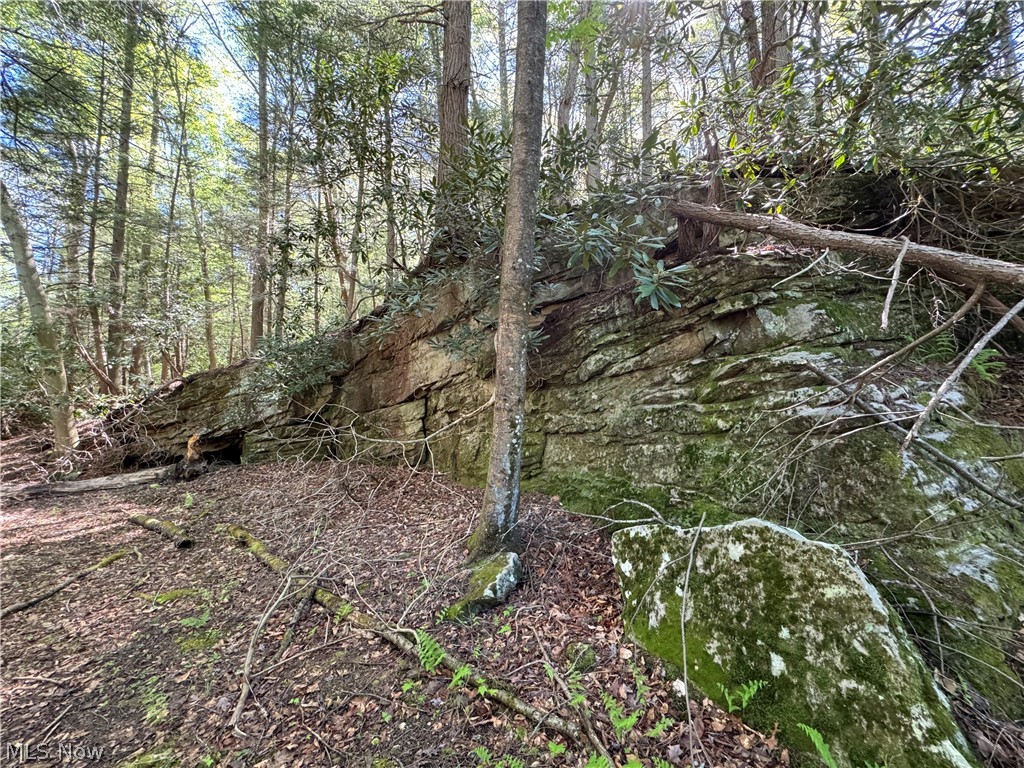 1185 Bens Run Road Sutton, WV 26601 - Photo 18 of 48 View of nature