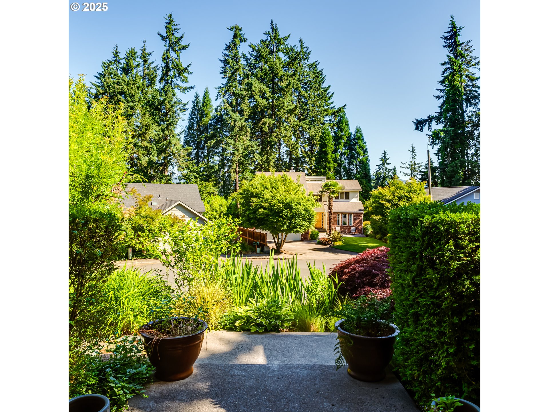 6843 Holly Street Springfield, OR 97478 - Photo 4 of 33 a view of a garden with plants
