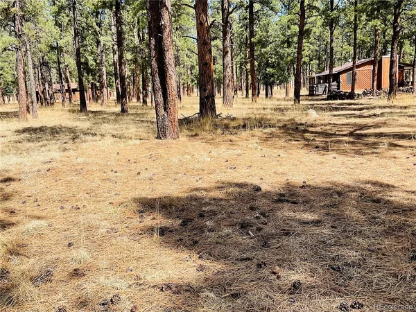 $55,000 | 4 Blk, Weston, CO 81091