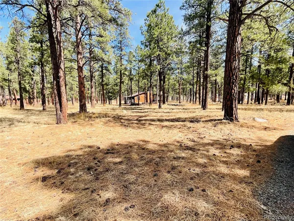 $55,000 | 4 Blk, Weston, CO 81091
