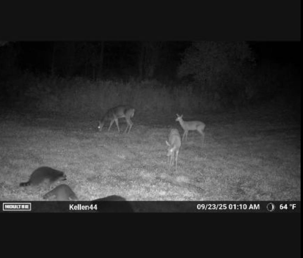 1187 Parks Road Goodells, MI 48027 - Photo 21 of 23