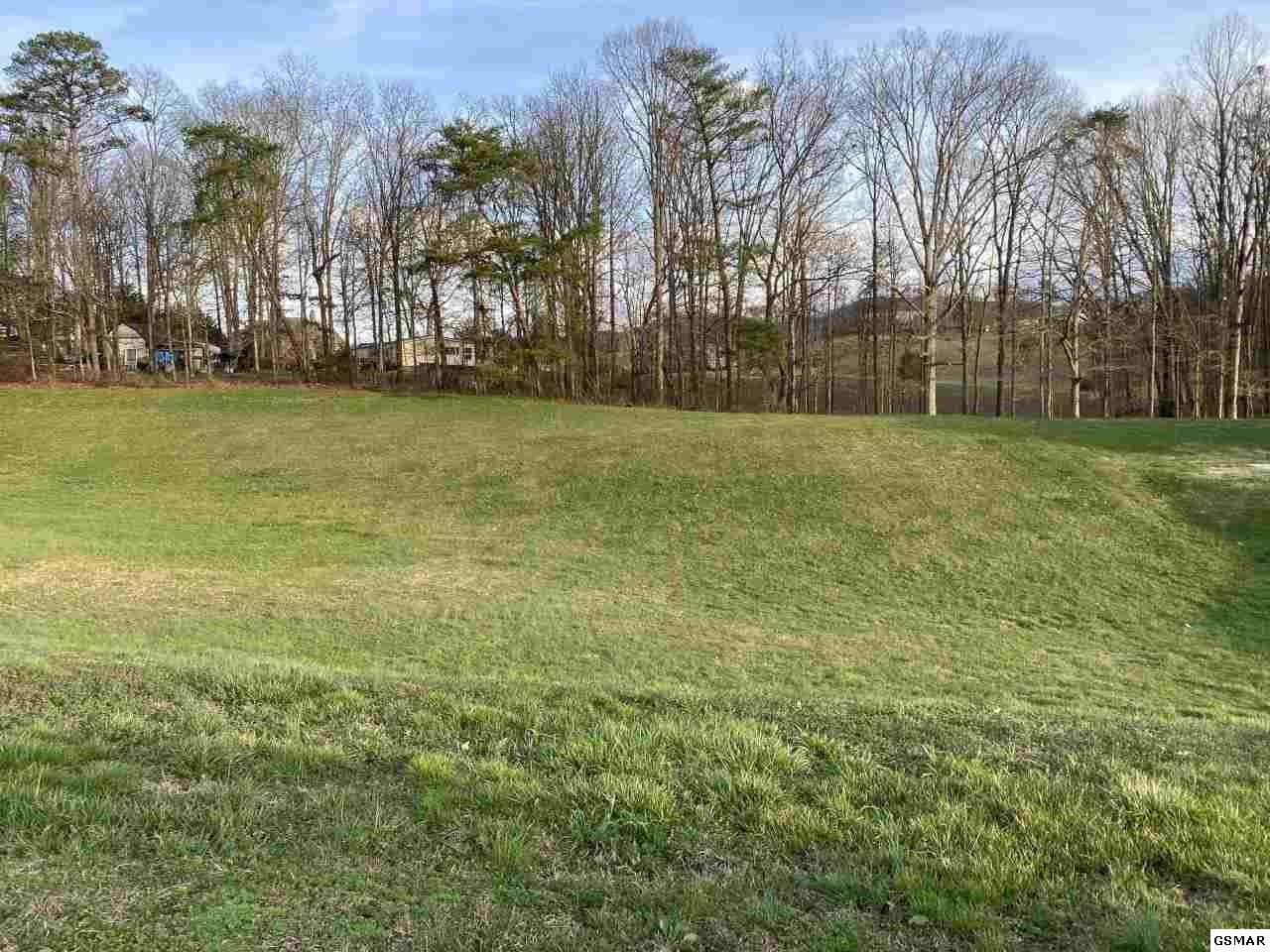 0 Robert Ridge Road Sevierville, TN 37862 - Photo 1 of 3