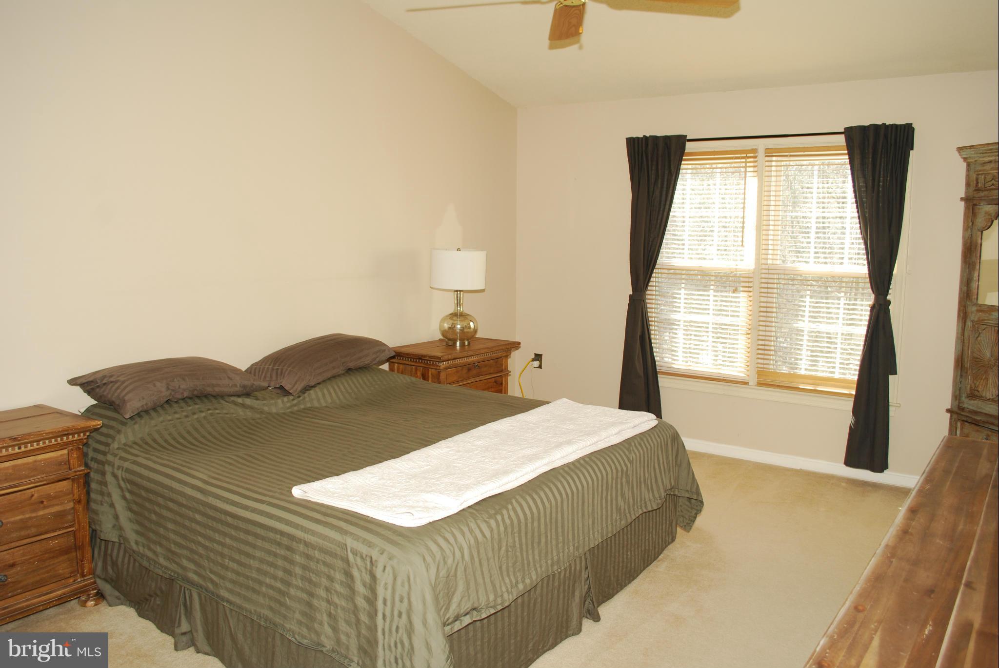 7206 Squirrel Run Court Springfield, VA 22152 - Photo 15 of 28 Bedroom (Master)