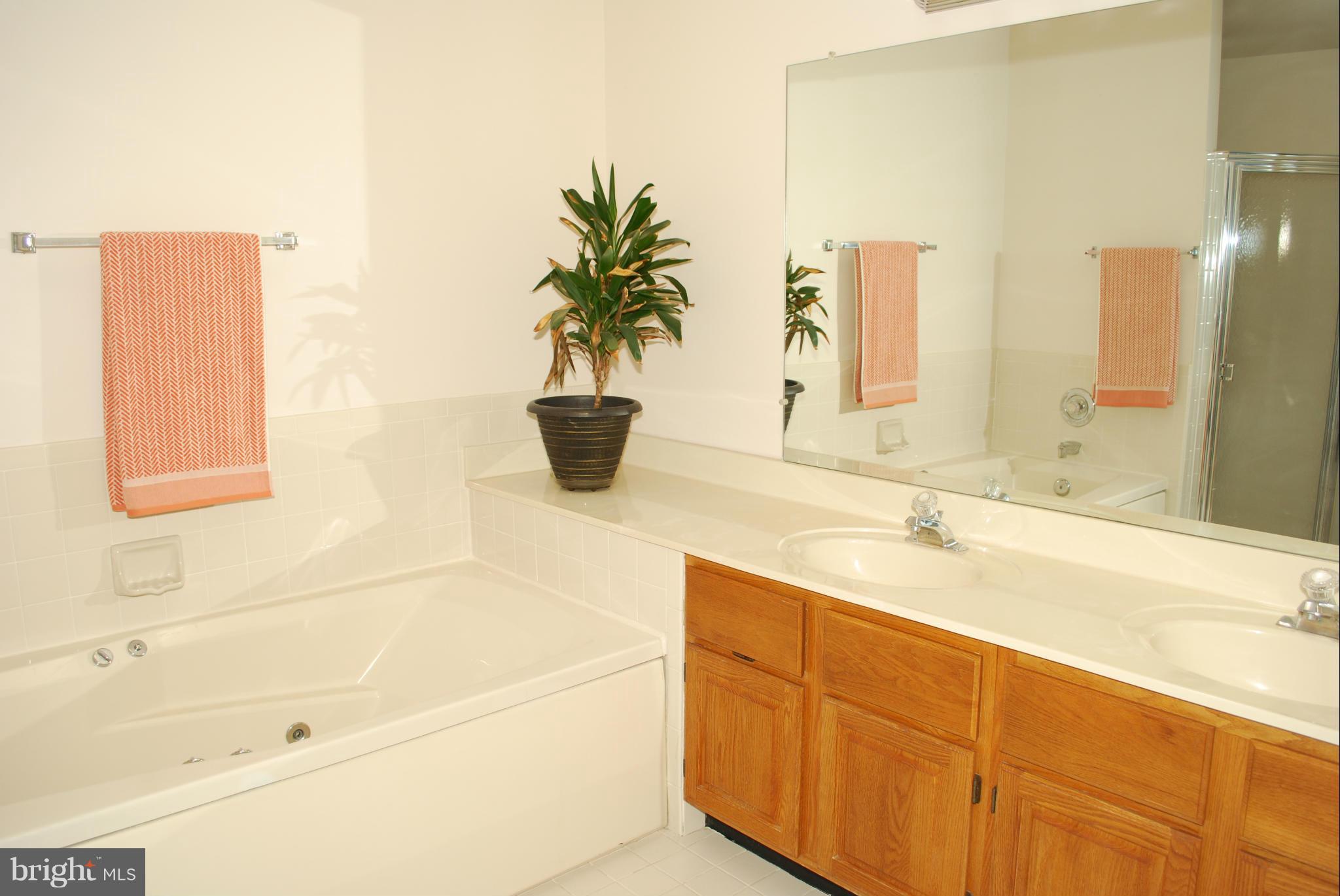 7206 Squirrel Run Court Springfield, VA 22152 - Photo 20 of 28 Bath (Master)